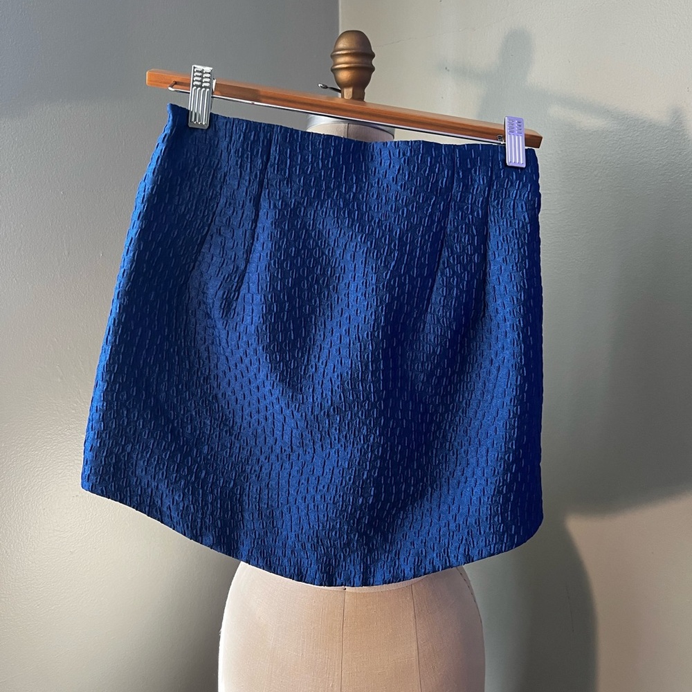 Zara Skirt